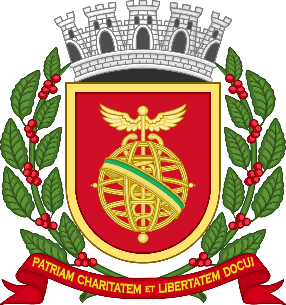 Logo Realizar Santos